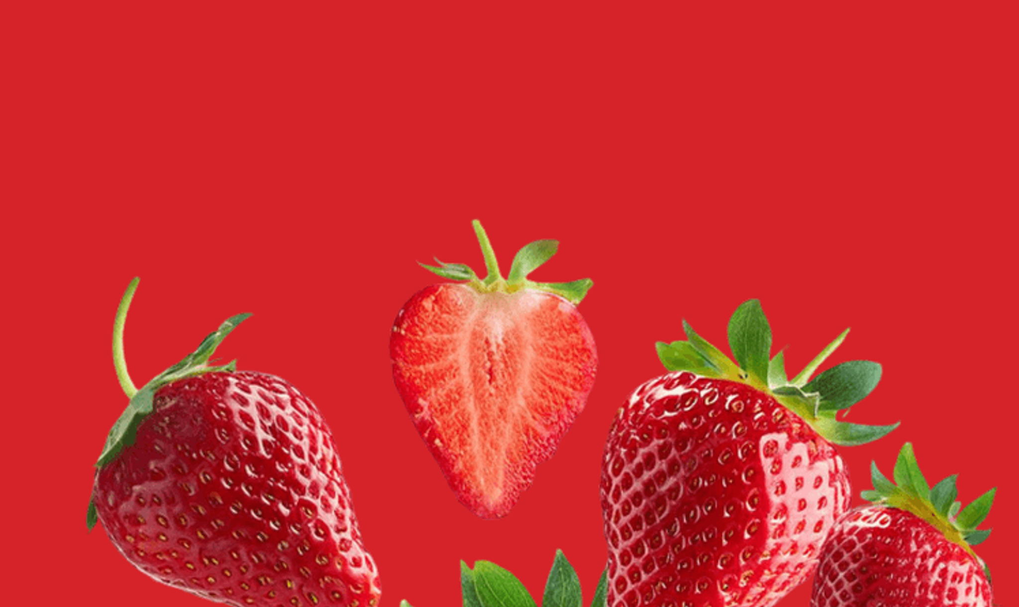 Banner erdbeerfinder (1)