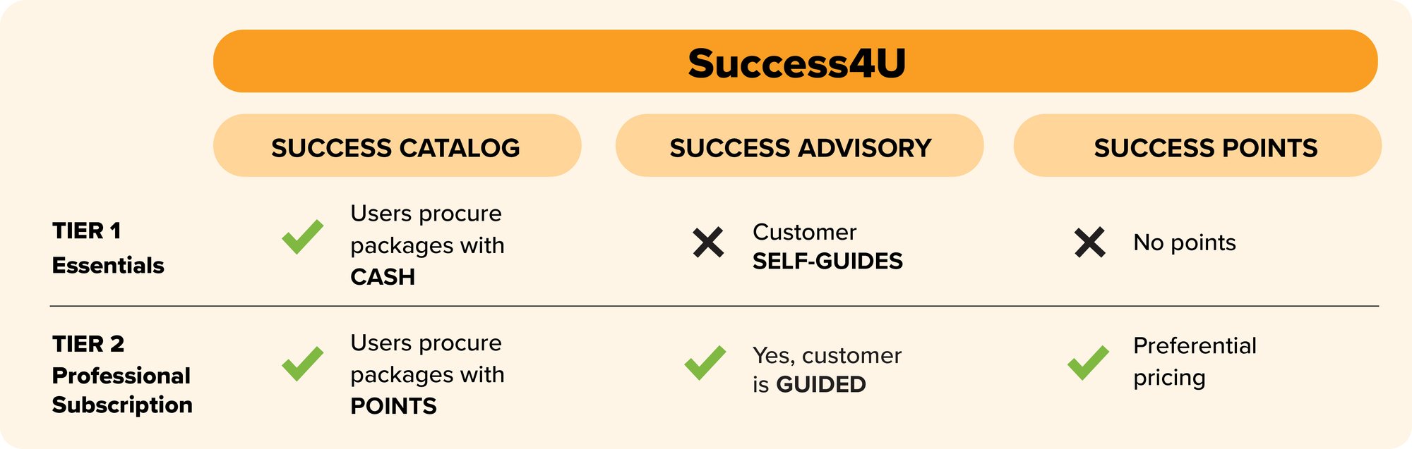 Success4U summary graphic