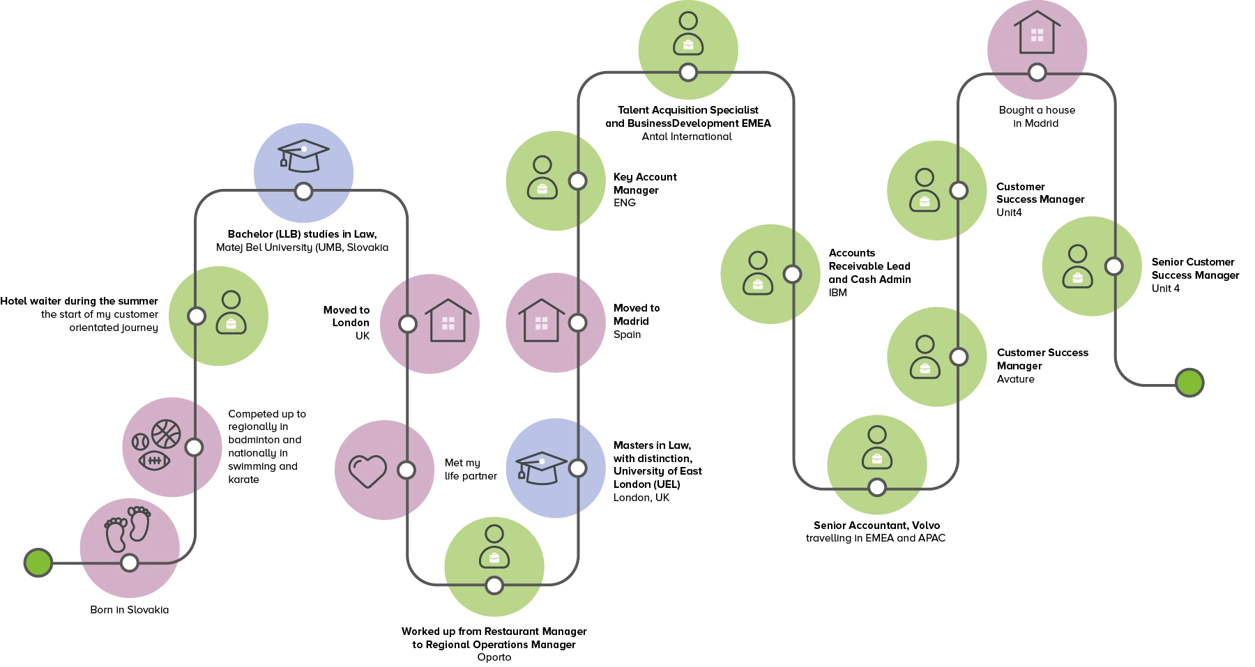 Image showing Radovan's career journey
