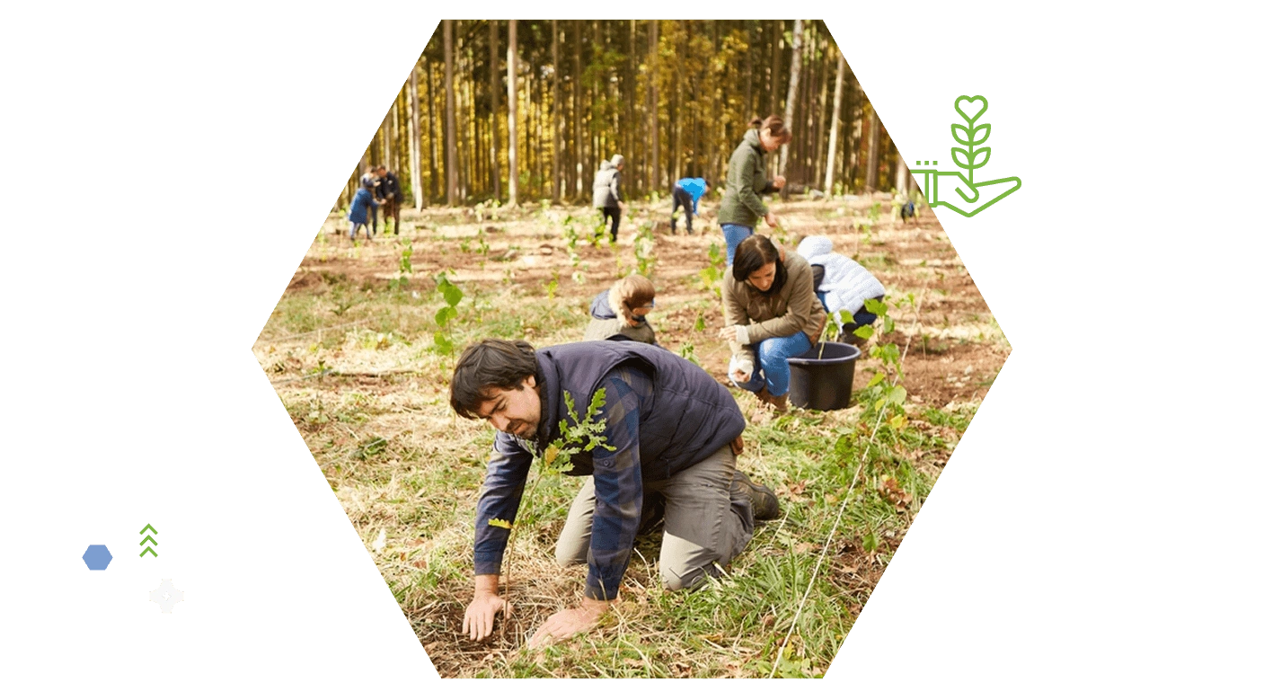 Growing a greener world