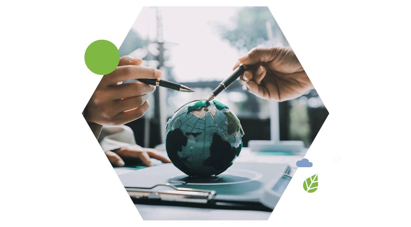 Climate action and net zero goals