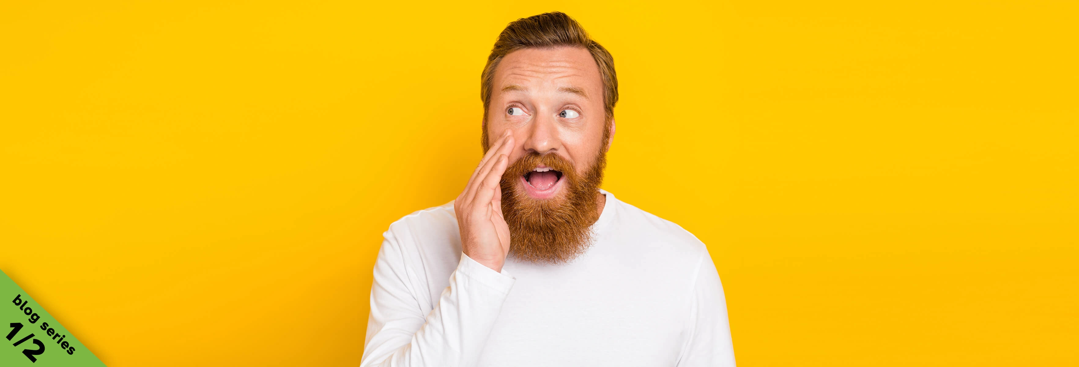 portrait men yellow background