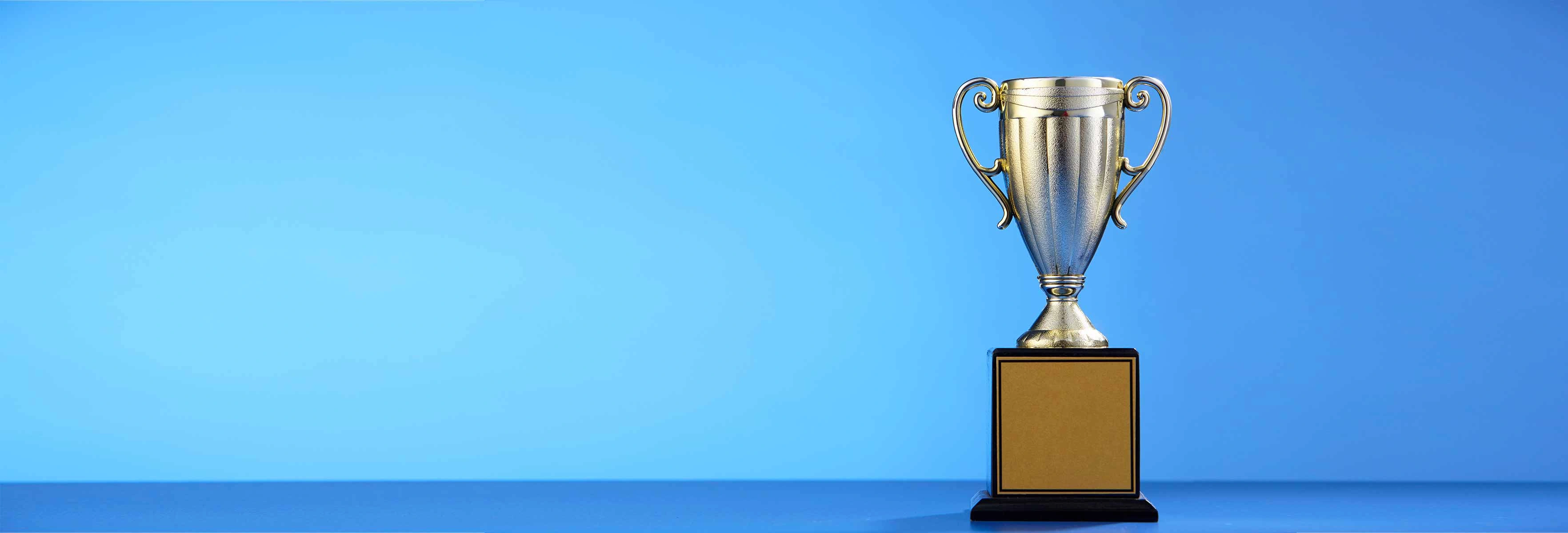 service excellence