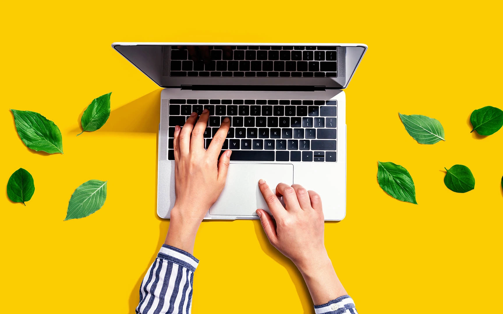 laptop with leafs