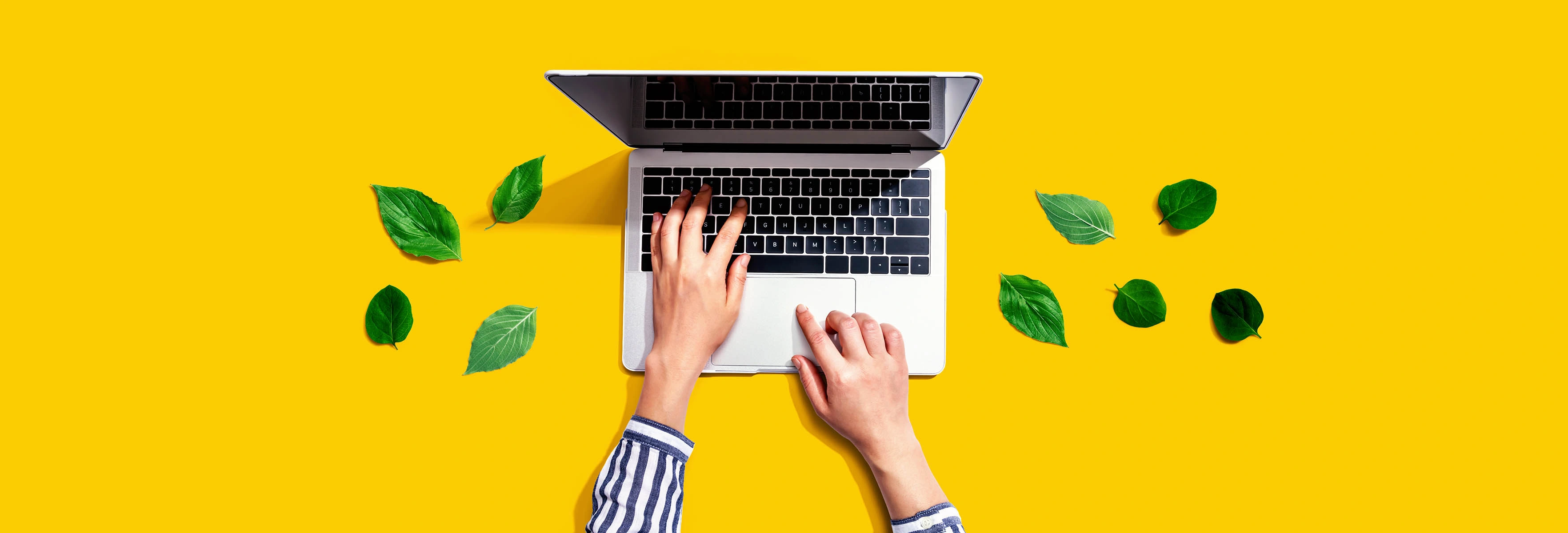 laptop with leafs