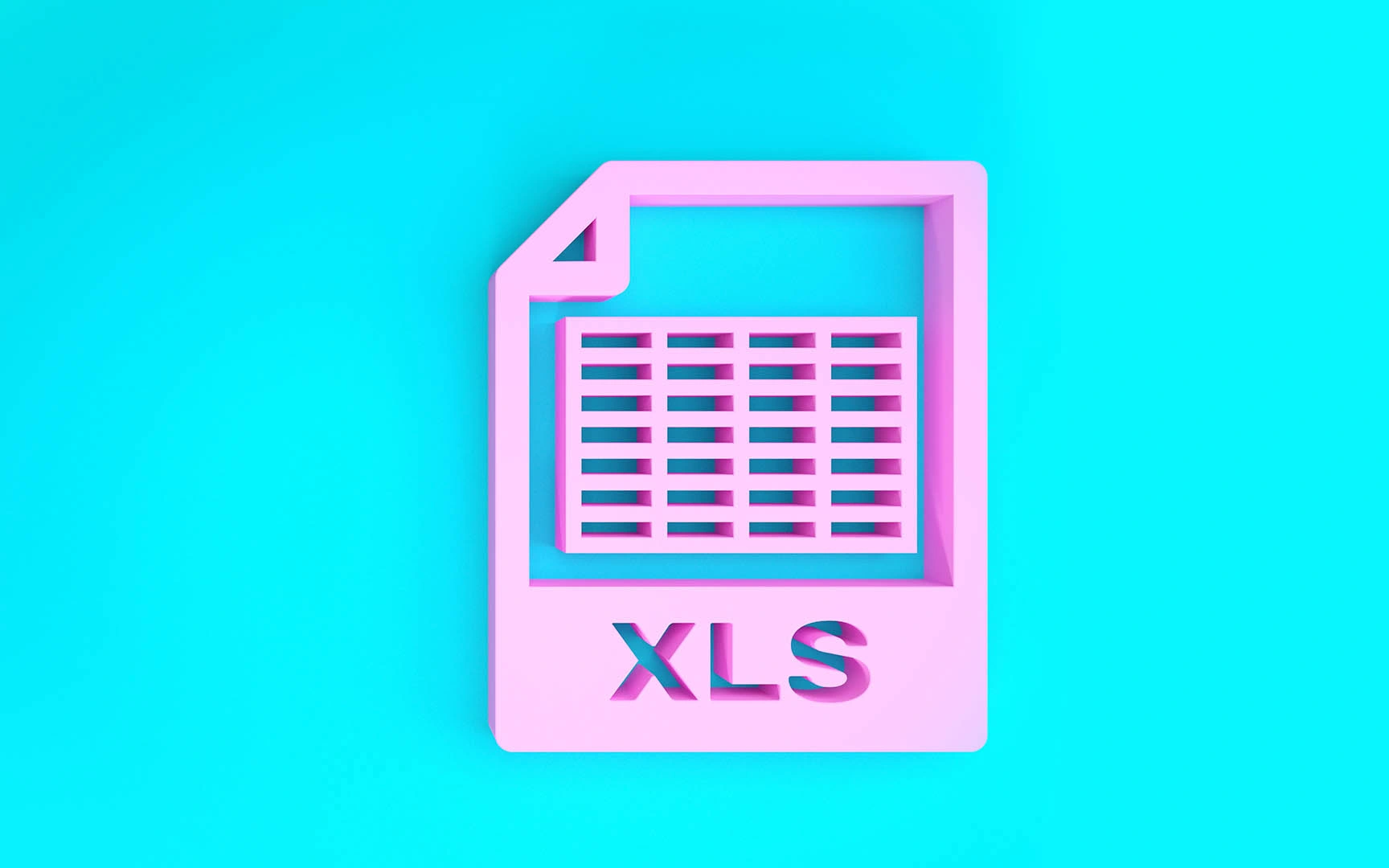 xls file