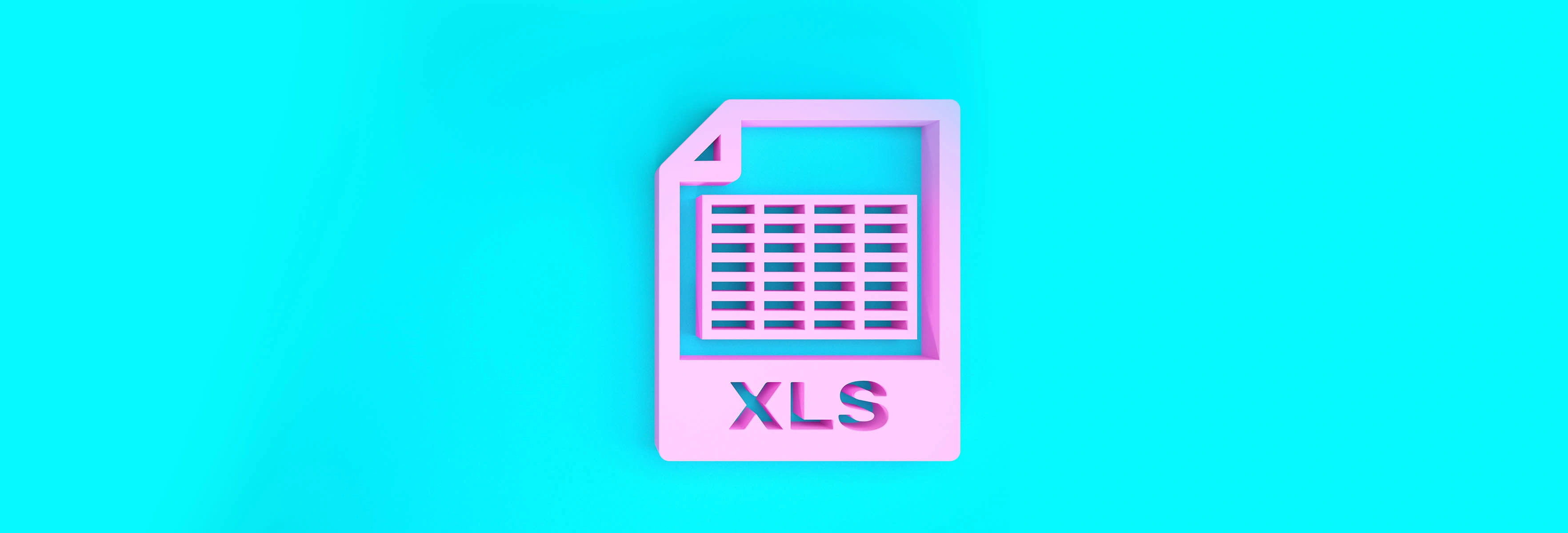 xls file