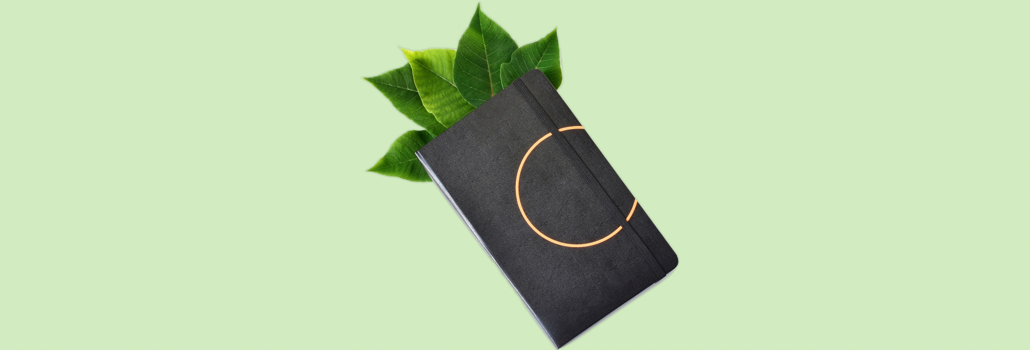Black agenda with leaves sticking out