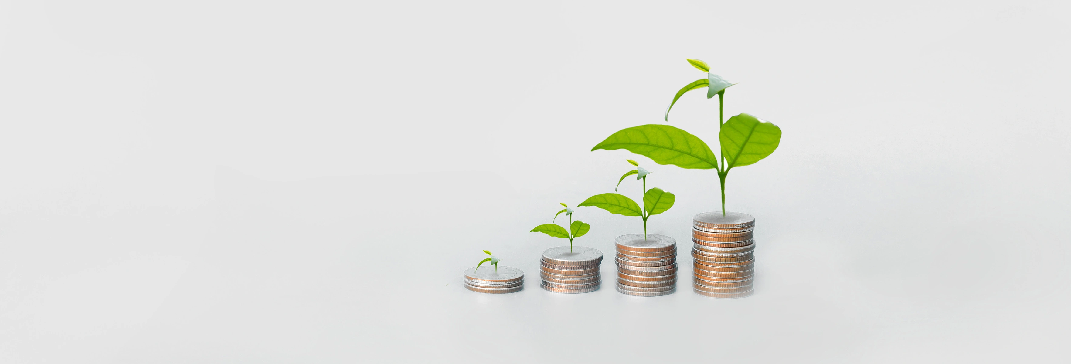 plants growing out of coins 