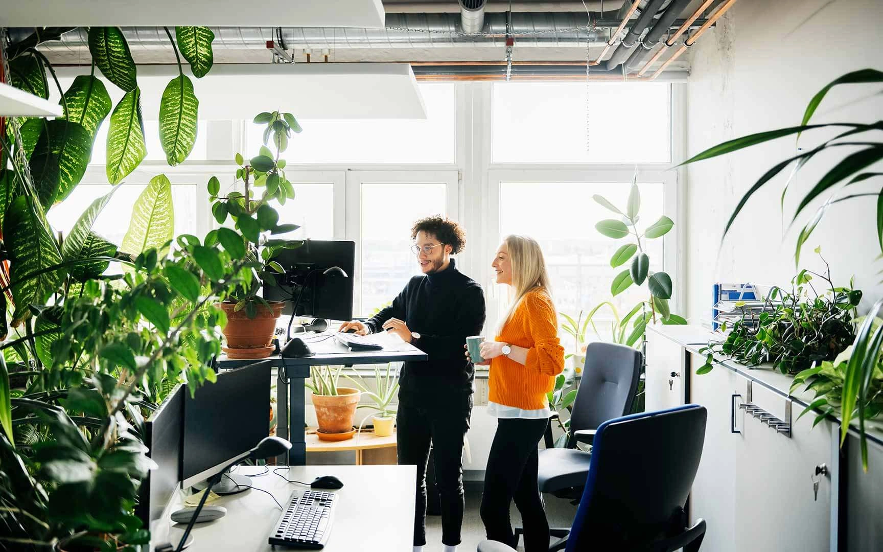 talent management