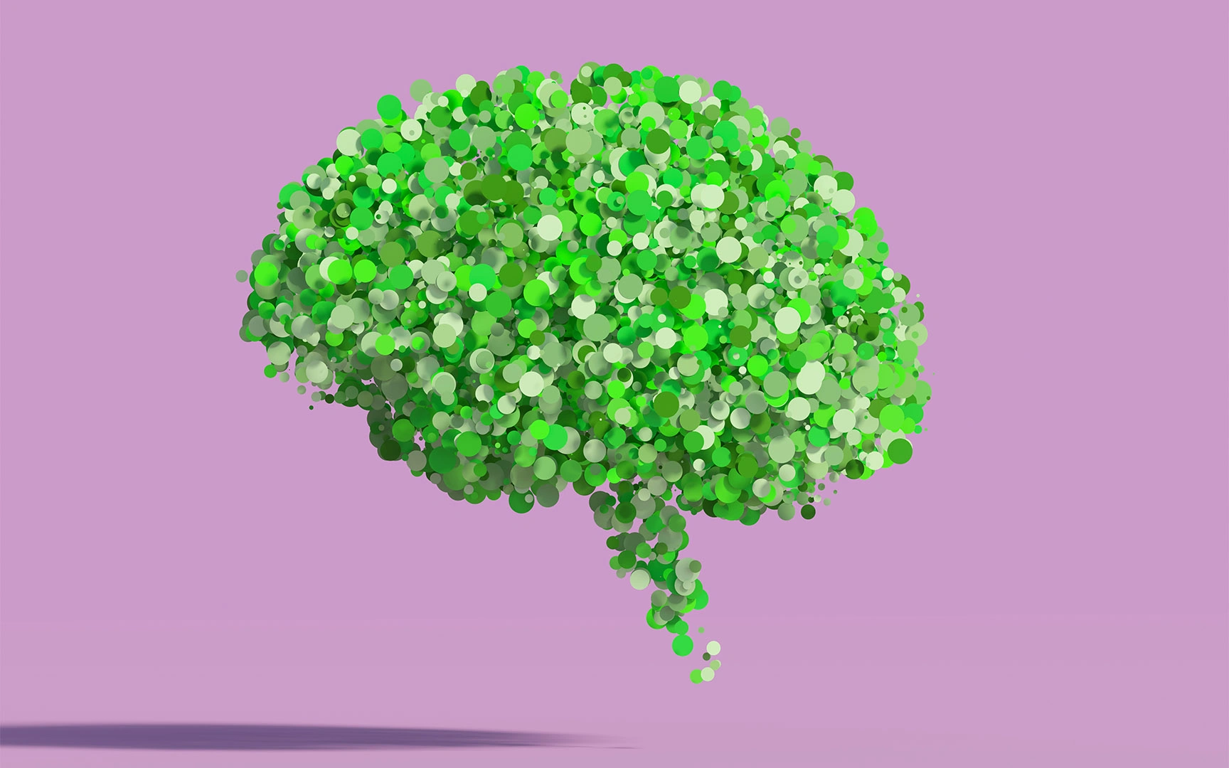 brain