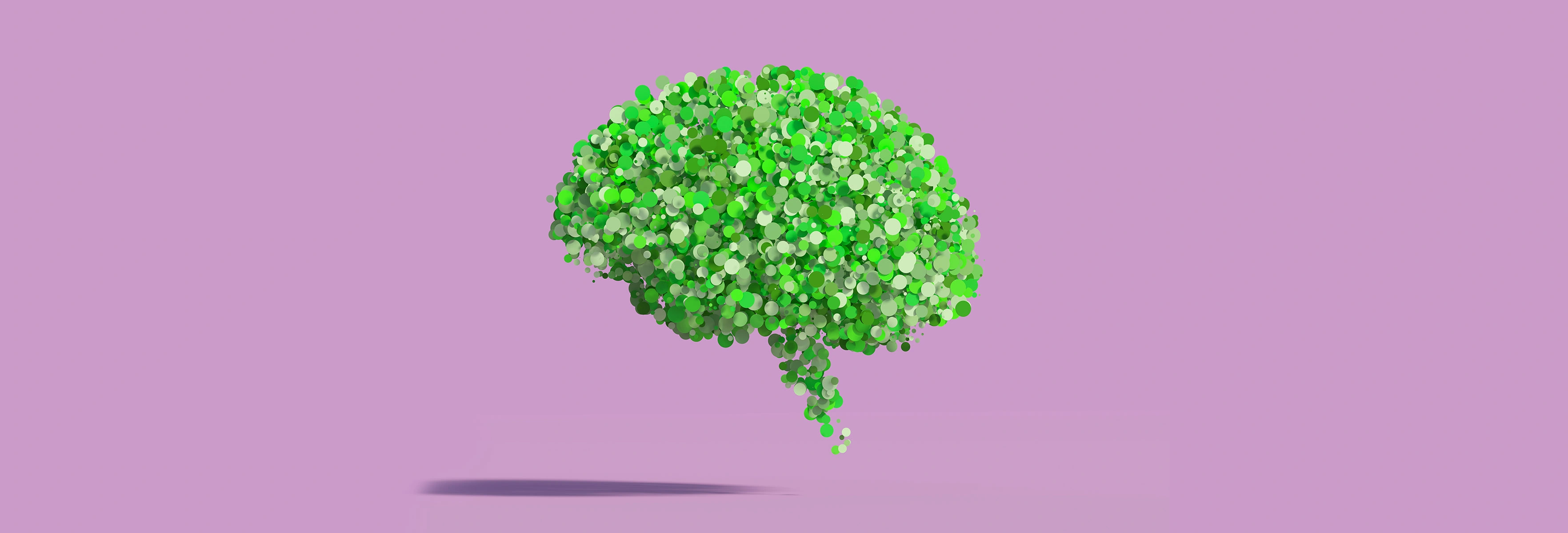 brain