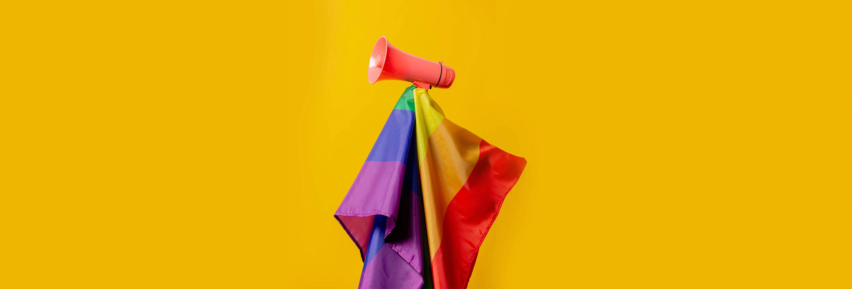 Pride Unit4 2021 flags