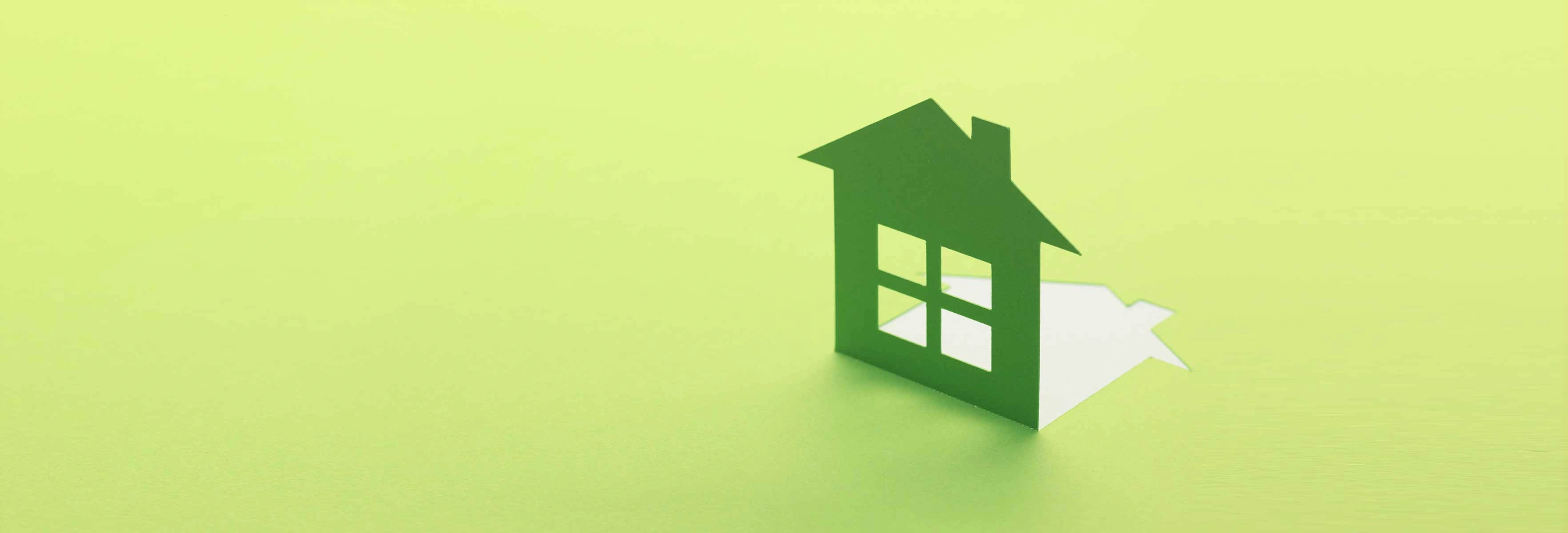 home ceo