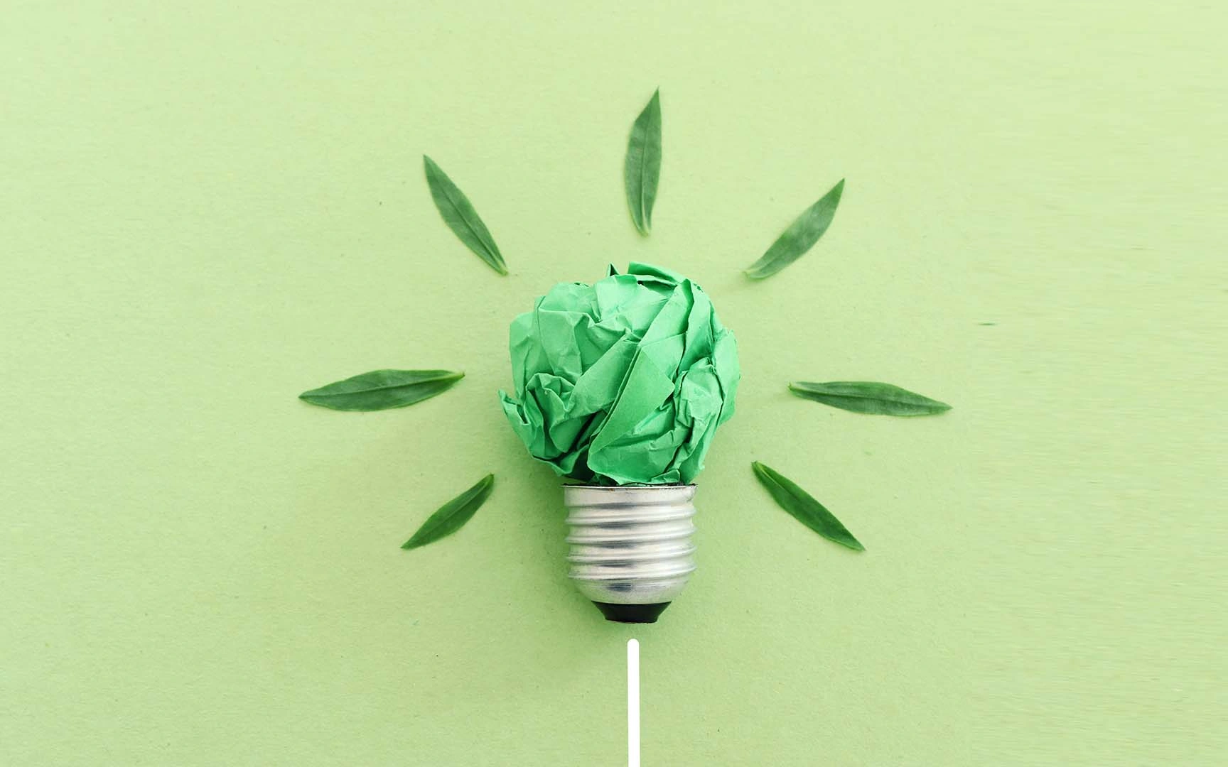 What is HRMS-Go Green & Paperless