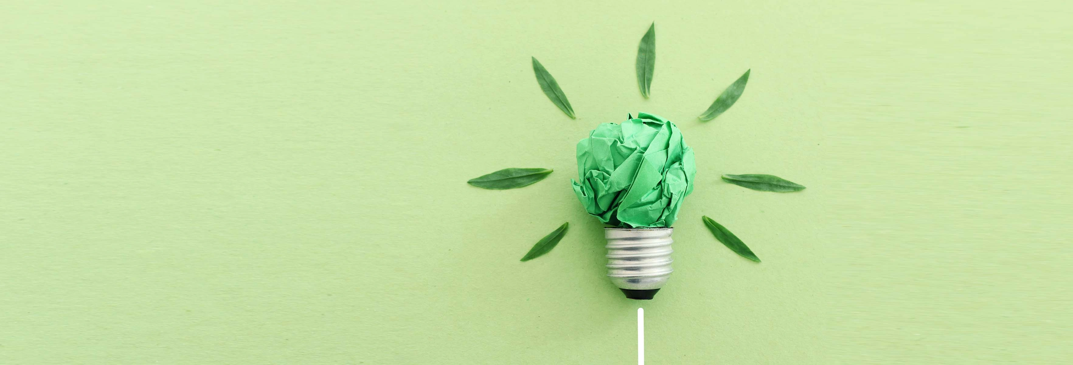 What is HRMS-Go Green & Paperless