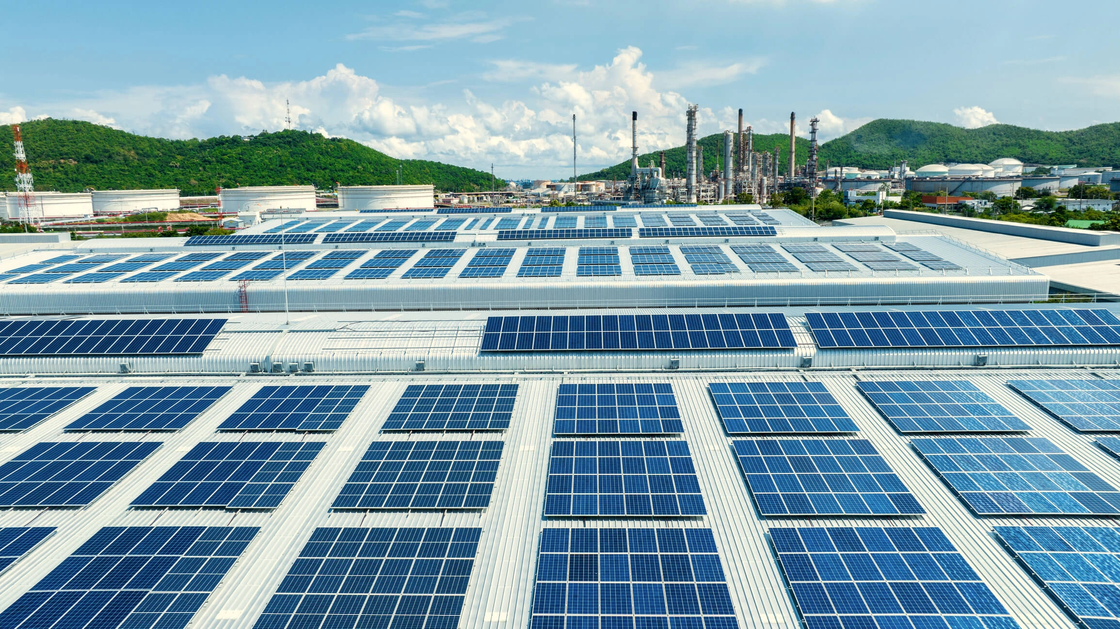 Why Choosing Sustainable Suppliers Boosts Organizational Growth