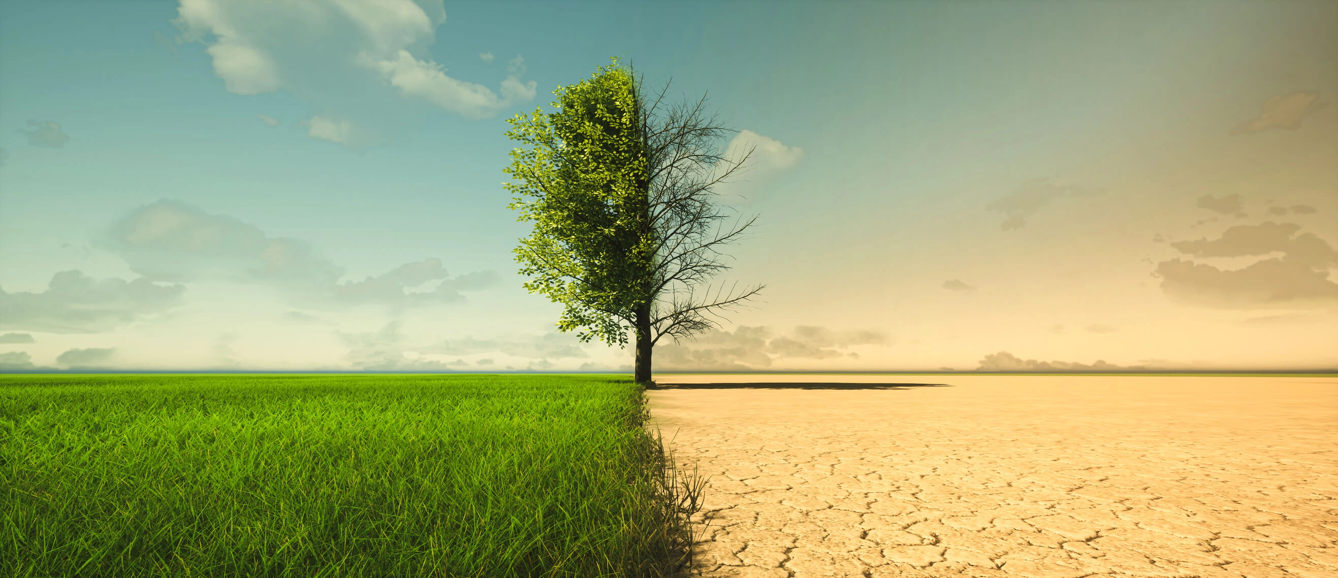 The Vital Role of Sustainable Sourcing in the Climate Change Era