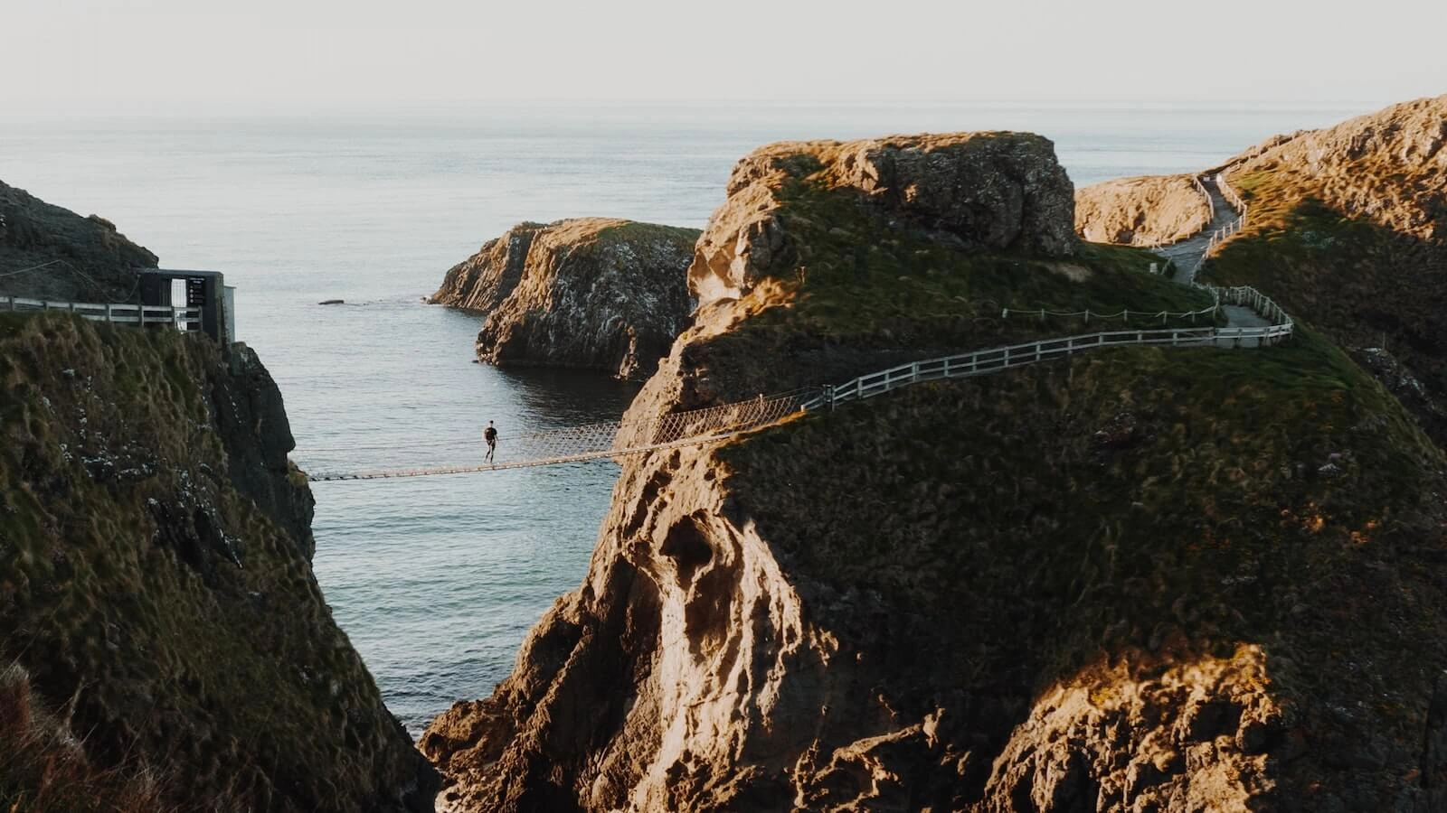 Driving Value with Third Party Risk Management