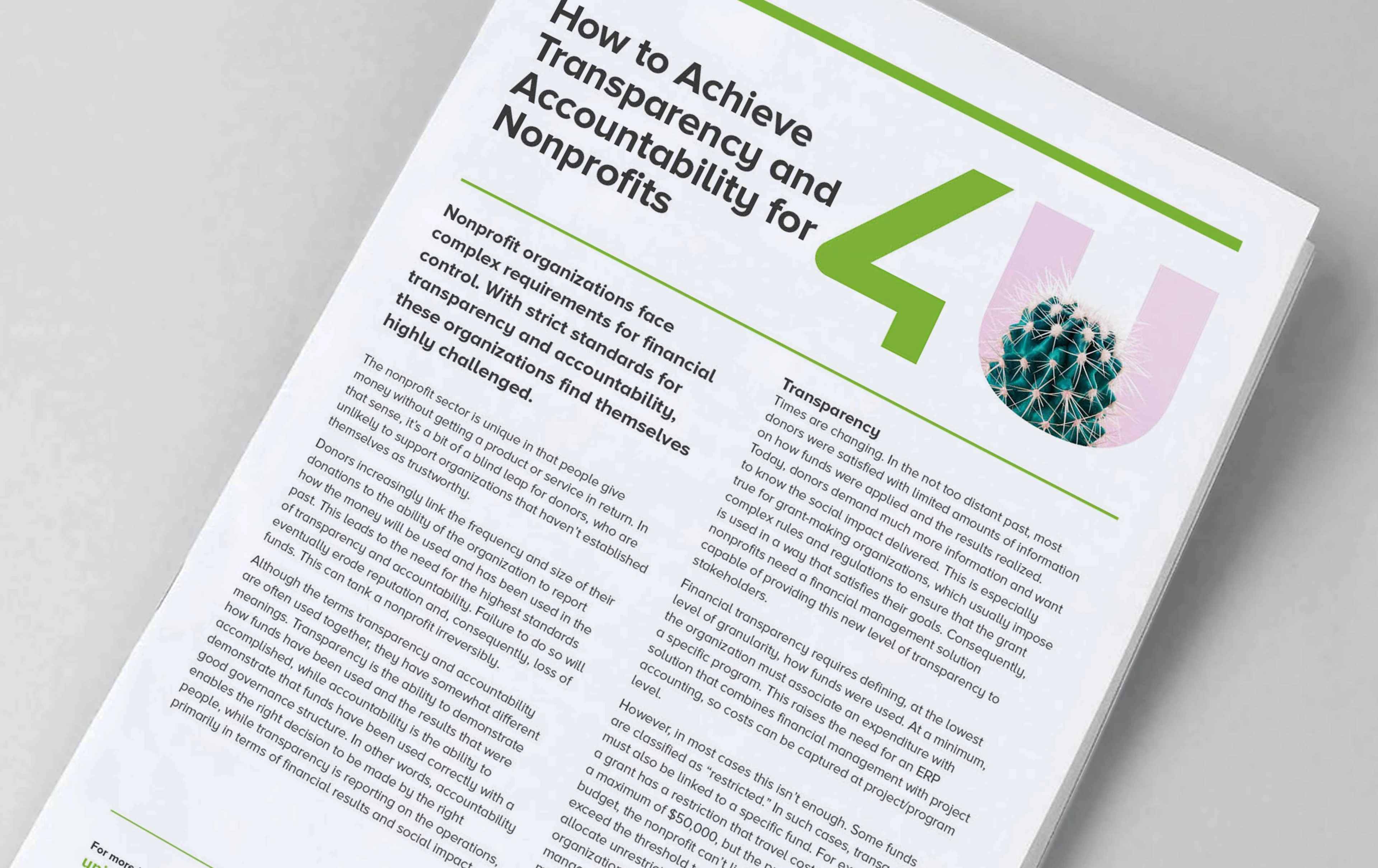 cover image for Industry Focus: Nonprofit – Transparency and Accountability