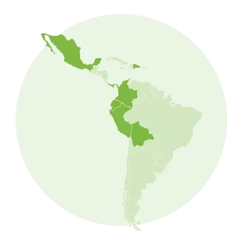 Flags on map