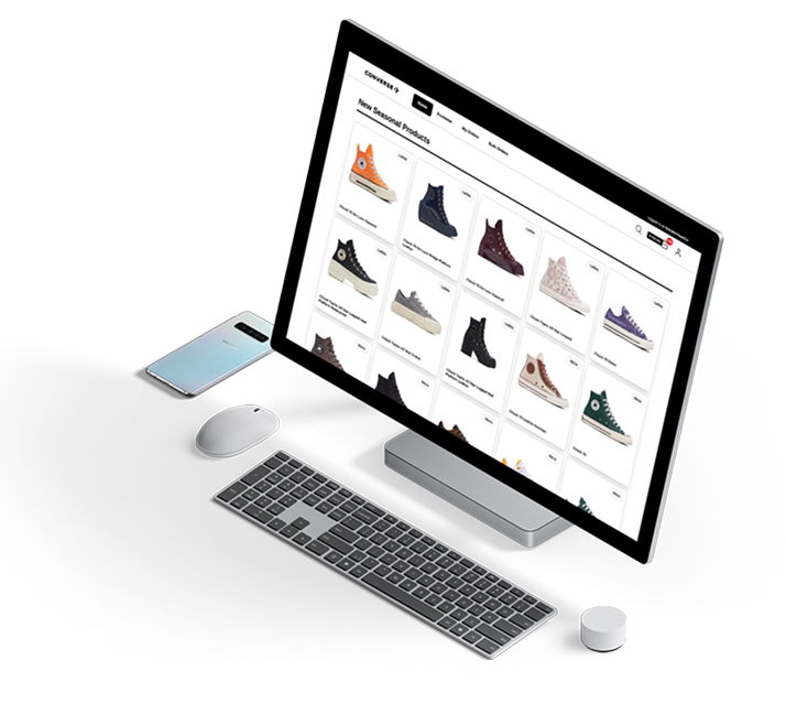 Overzicht van schoenen in het DSI-platform